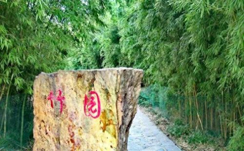 合肥十大好玩的景点排行榜(合肥十大必游景点)插图33