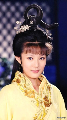金庸小说十大美女排行榜(金庸的美女排行榜)