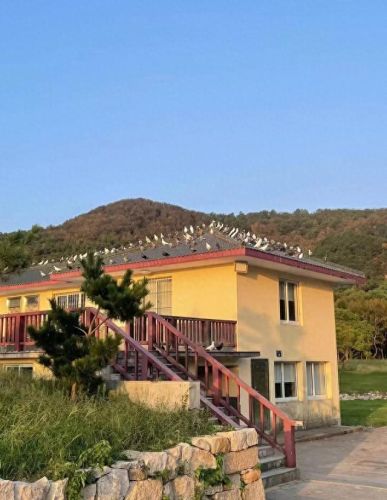 莫干山景点十大排行榜(莫干山必去八个景点)插图44