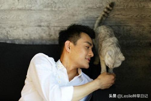 巨蟹座十大男神排行榜(巨蟹座谁最受欢迎)插图5