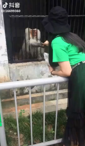 抖音十大短视频作品排行榜(抖音10个最火的短视频)插图8 抖音十大短视频作品排行榜(抖音10个最火的短视频)插图8