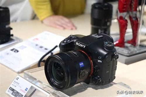 数码相机十大排行榜(十大实用数码相机)