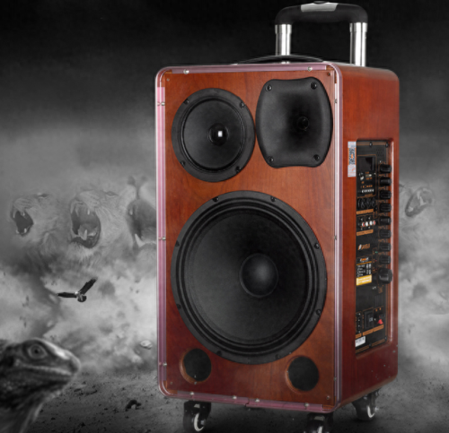 山水户外音响十大排行榜(山水和先科哪个牌子的音响好)