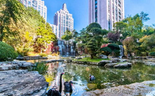 北京市十大独栋别墅排行榜(谷爱凌北京别墅)插图64