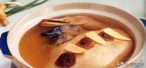 中国文化十大美食排行榜(益阳美食文化)