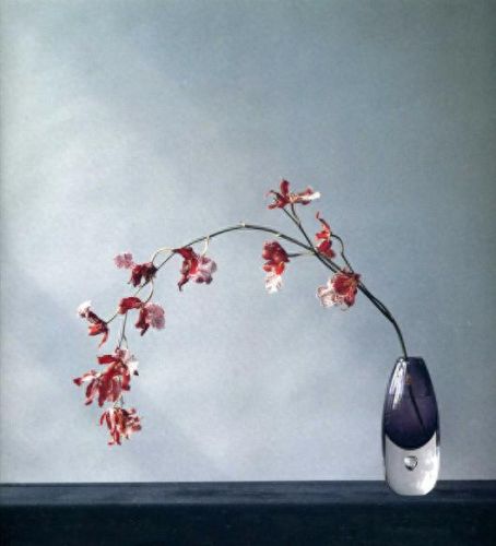 十大花卉摄影师排行榜北京(中国十大摄影师排名前十)插图4