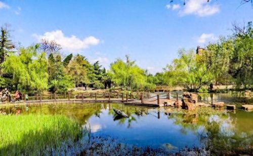 合肥十大好玩的景点排行榜(合肥十大必游景点)插图34