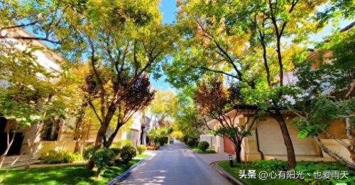 北京市十大独栋别墅排行榜(谷爱凌北京别墅)插图79