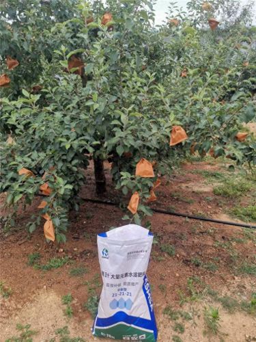 水溶肥品牌十大品牌排行榜(中国水溶肥十大品牌出炉)