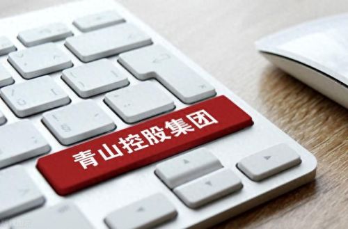 十大商业化运动排行榜名次(德国十大运动品牌)插图2