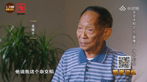 十大排行榜科教类节目(科教频道记忆力节目)插图37