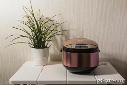 煮粥电饭锅十大排行榜(旧电饭锅内胆可以放煤气灶煮粥吗)插图