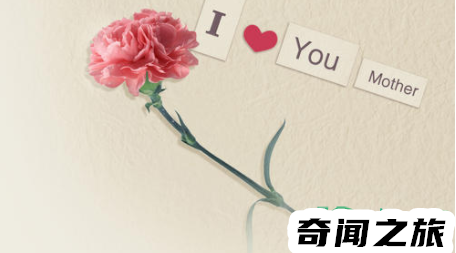 母亲节是5月的第三个星期日(母亲节在每年的五月第二个星期)插图2