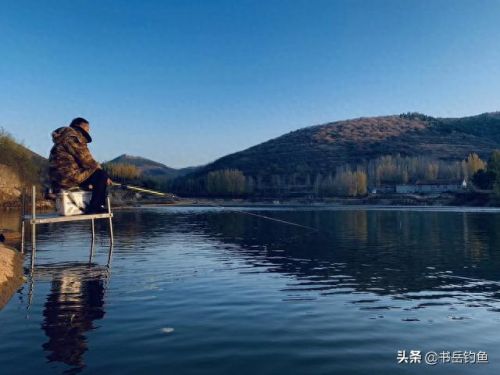 颗粒饵料十大排行榜图片(颗粒饵料排行榜第一名老鬼)插图 颗粒饵料十大排行榜图片(颗粒饵料排行榜第一名老鬼)插图