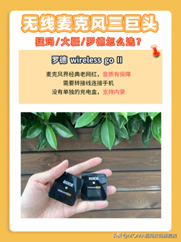 收音麦克风十大品牌排行榜(麦克风十大品牌排行榜)