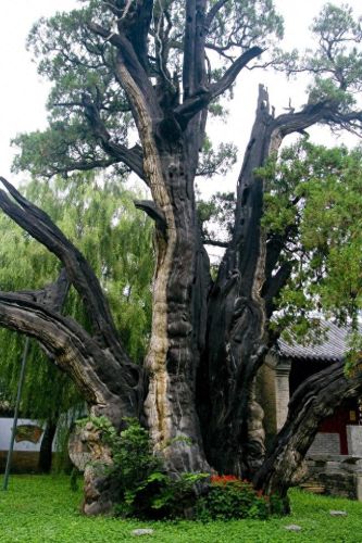 年游客最多十大名山排行榜(十大名岳是哪十座山)插图35