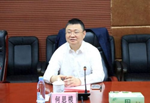 安庆市本土十大富豪排行榜(安庆十大有钱人)插图9