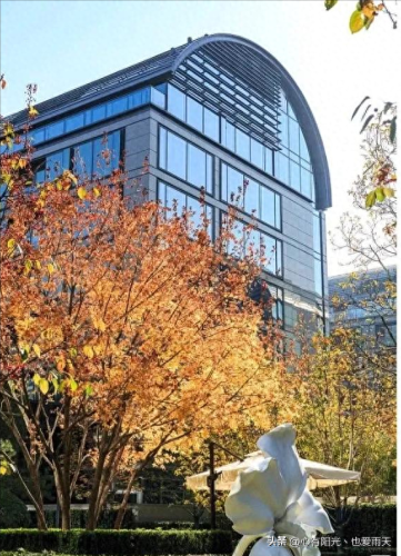 北京市十大独栋别墅排行榜(谷爱凌北京别墅)插图52