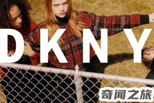 dkny是什么档次(dkny和mk哪个更有档次)插图