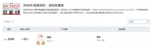 安庆市本土十大富豪排行榜(安庆十大有钱人)插图6