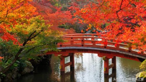 十大耐听钢琴曲排行榜(十大钢琴曲手机铃声)插图3