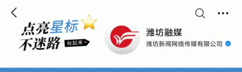 潍坊十大好单位排行榜公示(潍坊待遇最好的十大国企)插图