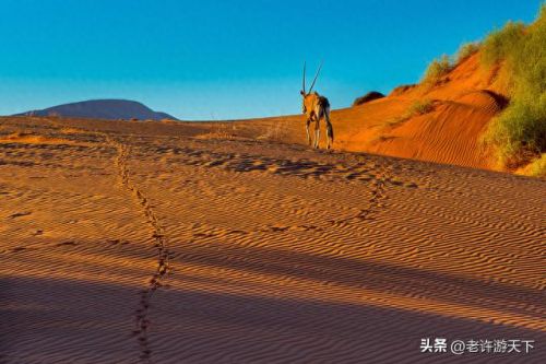 国内沙漠古城排名前十(青海所有沙漠排名)插图99 国内沙漠古城排名前十(青海所有沙漠排名)插图99