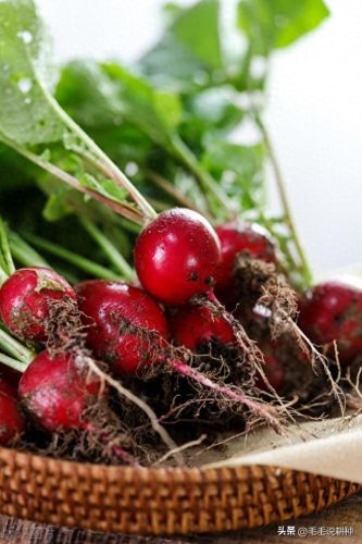 室内蔬菜十大排行榜图片(十大止咳蔬菜排行榜)插图3