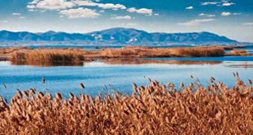 唐河最美水库排名前十(唐河附近最佳钓鱼水库)插图8 唐河最美水库排名前十(唐河附近最佳钓鱼水库)插图8