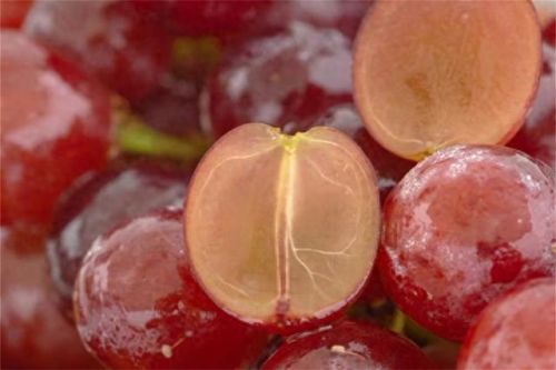 鲜食葡萄品种排名前十(最好吃葡萄排名前十名)插图13