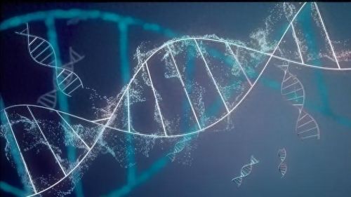 全球十大科技大学排行榜(全球公认最强的十大科技)插图8