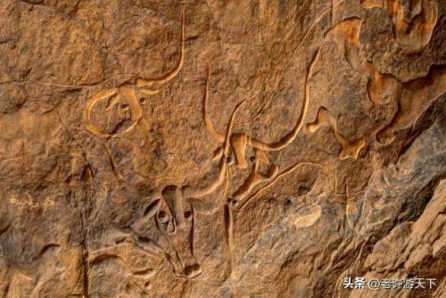 国内沙漠古城排名前十(青海所有沙漠排名)插图94 国内沙漠古城排名前十(青海所有沙漠排名)插图94