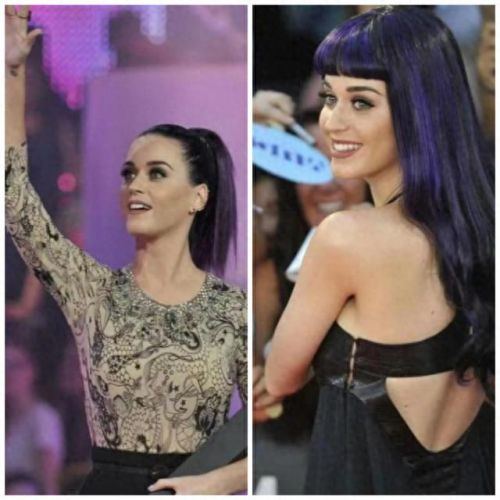 全网最少粉丝排名前十(全网个人粉丝排行榜)插图