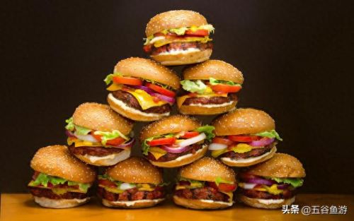 十大好吃的汉堡排行榜介绍(十大免费汉堡加盟)插图