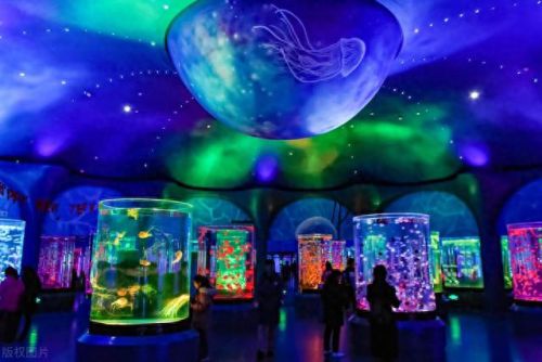 上海游玩景区十大排行榜(上海玩一天去哪里)插图6