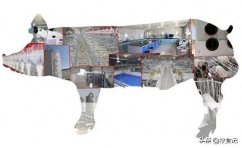 石羊饲料销量排名前十(泾阳石羊立成饲料有限公司)插图2