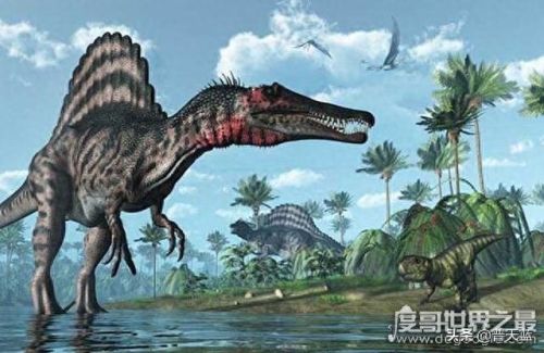 恐龙十大排行榜谁最大(恐龙排名到底谁最强)插图4