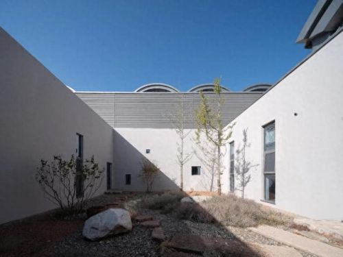 山西肉鸽销量排名前十(大熊养殖肉鸽)插图12 山西肉鸽销量排名前十(大熊养殖肉鸽)插图12