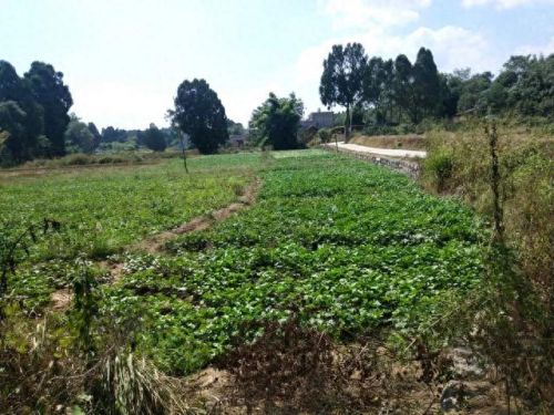 广西十大名牌坊排行榜最新(广西全州四大牌坊)