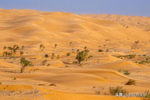 国内沙漠古城排名前十(青海所有沙漠排名)插图3 国内沙漠古城排名前十(青海所有沙漠排名)插图3