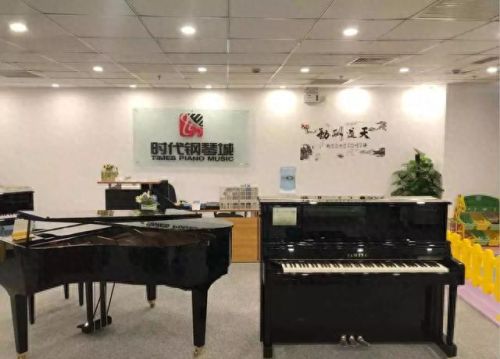 钢琴名牌产地排名前十(不能说的秘密钢琴)