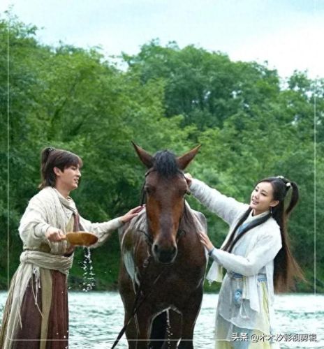 十大武侠电视剧排行榜现代(梁羽生全部武侠电视剧)插图8