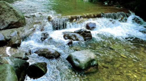 郑州水边餐厅排名前十(费县水边餐厅)插图14 郑州水边餐厅排名前十(费县水边餐厅)插图14