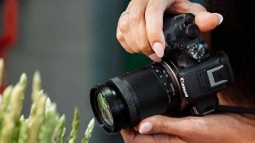 十大入门单反相机排行榜(初学者买单反还是微单)插图2 十大入门单反相机排行榜(初学者买单反还是微单)插图2