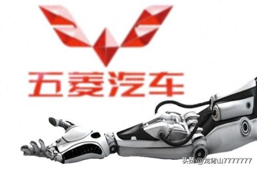 十大大型国产车排行榜(十大冷门国产车排名)插图 十大大型国产车排行榜(十大冷门国产车排名)插图