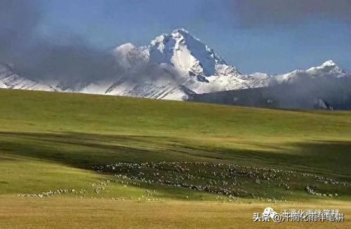 渭南草原面积排名前十(渭南城区面积多大)插图3 渭南草原面积排名前十(渭南城区面积多大)插图3