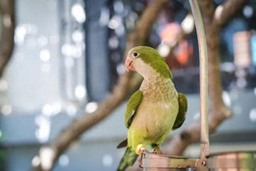 临沂十大面条店排行榜图片(临沂面条)插图9