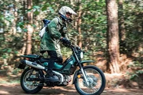 国内十大弯梁车排行榜图片(推荐几款弯梁车)插图8