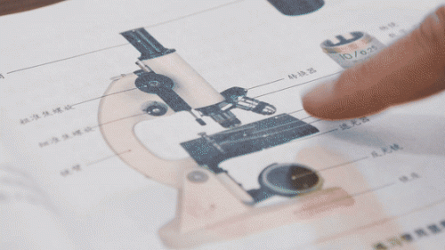 手机显微镜十大品牌排行榜(高端显微镜十大品牌)插图11