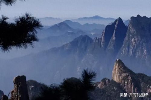 周至民营酒厂排名前十(周至有钱人名单)插图1